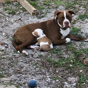 Meet your Posher, Nikki